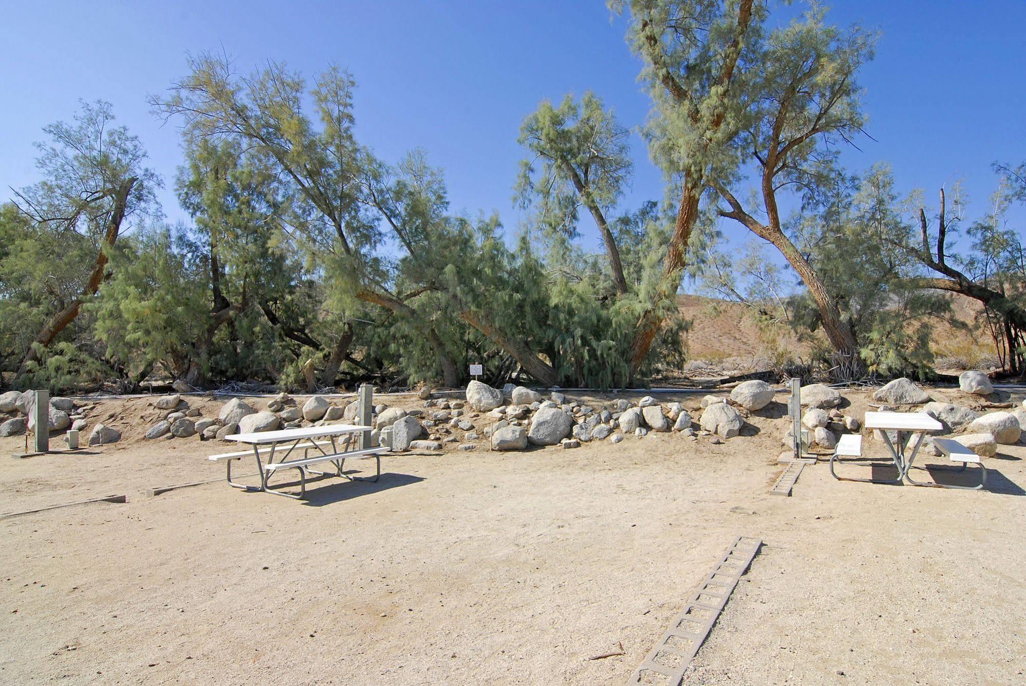 Palm Canyon Hotel And Rv Resort Borrego Springs Eksteriør billede