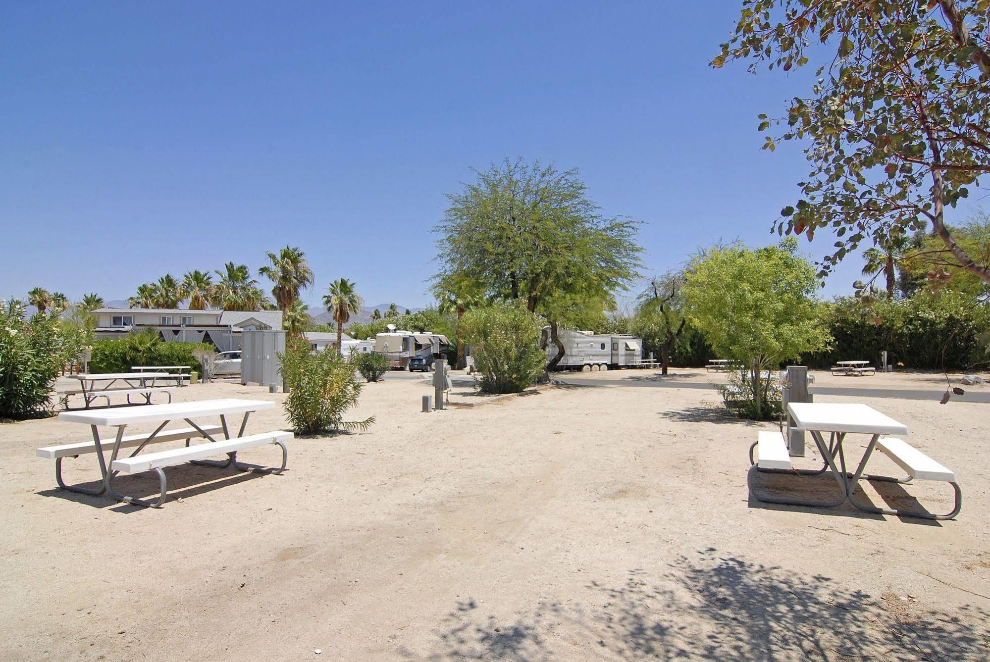 Palm Canyon Hotel And Rv Resort Borrego Springs Eksteriør billede